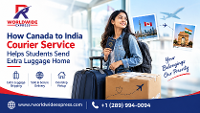 How Canada to India Courier Service Makes Extra Luggage Shipping Easier for Students